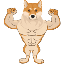 Alpha Shiba Inu ALPHASHIB