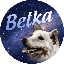 Belka BLK