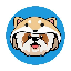 Shitzu Inu SHITZUINU