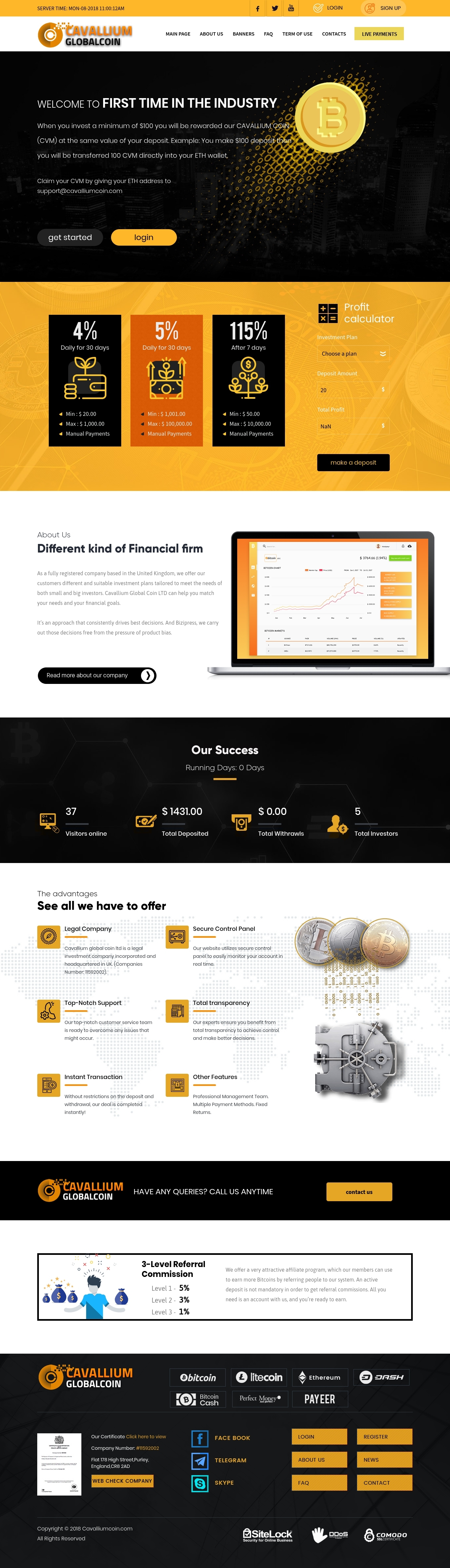 Invest project Cavallium Global
