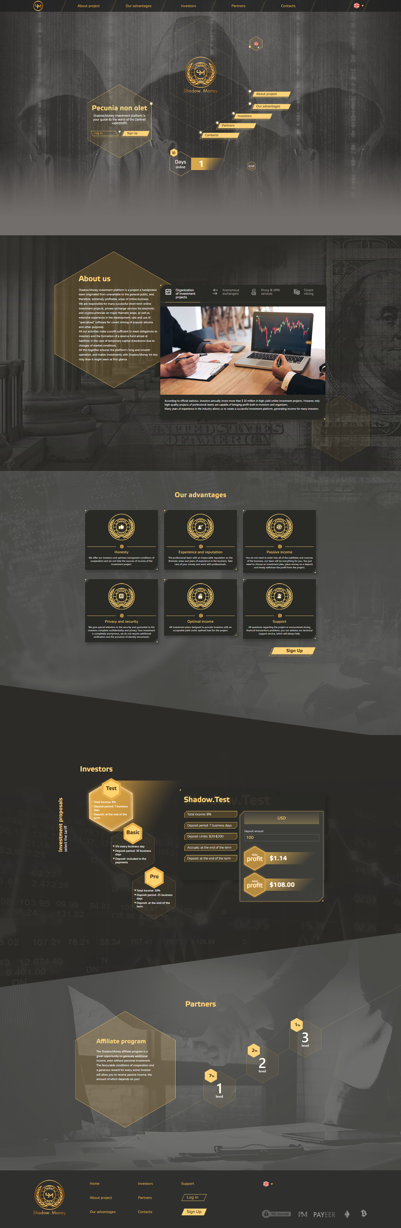 Gaming HYIP project Shadow Money
