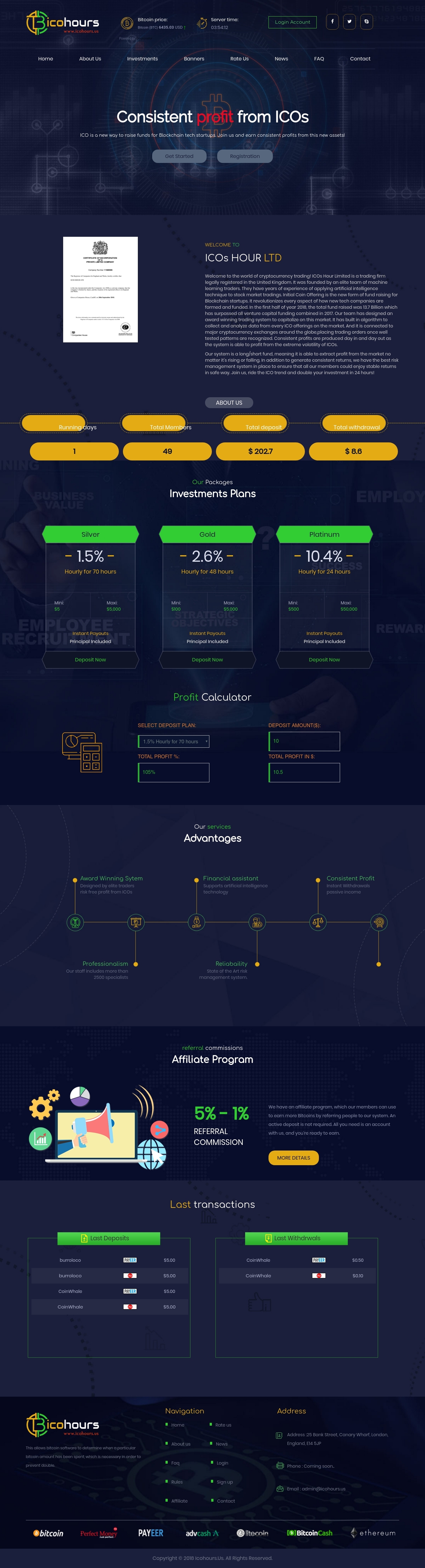 Investment project ICOs Hour Ltd