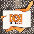 Development of a new Bitcoin Cash feature