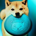 SHIB Burn Rate Hits 6-Month High: Will Shiba Inu Price React?