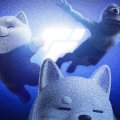 Jimothy The Raccoon Solana Token Climbs 186% After Viral Meme Fame