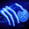 XRP Lost 93% of Its Institutional Money, But Whales Smelled a Bargain