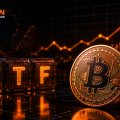 Bitcoin ETFs Add Nearly $800 Million in the Wake of Coldcard Exploit