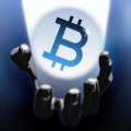 15 Institutionen verraten, warum sie sich weigerten, Bitcoin während eines 50%-Crashs zu verkaufen