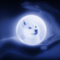Das neue App-Netzwerk von Dogecoin' ist live. Warum der DOGE-Preis nicht reagiert'.