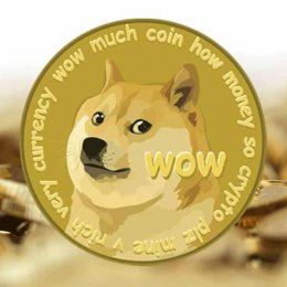 Overview of the cryptocurrency Dogecoin (DOGE)
