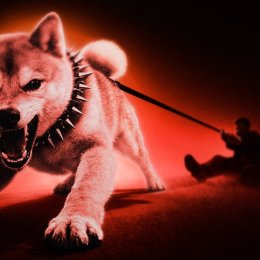Ist Shiba Inu (SHIB) tot? On-Chain-Daten zeigen eine traurige Realität