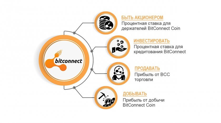BitConnect / BCC cryptocurrency