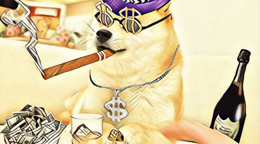 Dogecoin cryptocurrency perspectivity