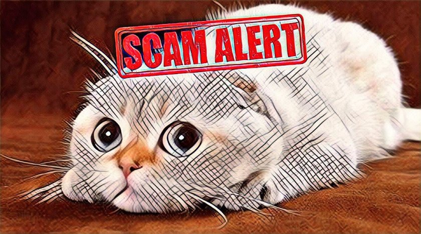 Scam in HYIP does not always go on the wish of the administrator