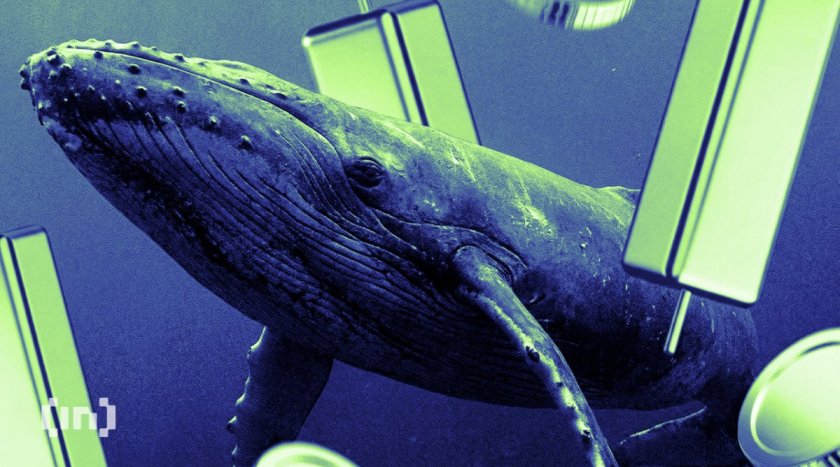 3 Altcoins Crypto Whales Are Buying In September 2026