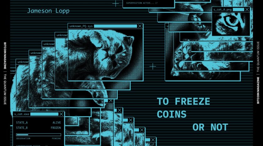 The Quantum Issue: To Freeze Coins Or Not